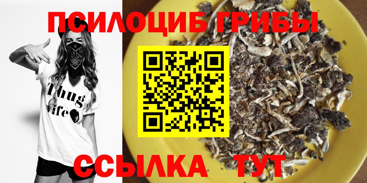 Псилоцибиновые грибы GOLDEN TEACHER  Вход с VPN  Лянтор 
