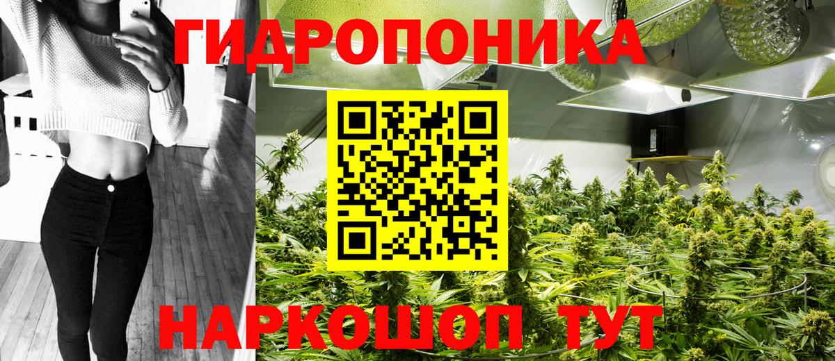 Шишки марихуана ГИДРОПОН Лянтор